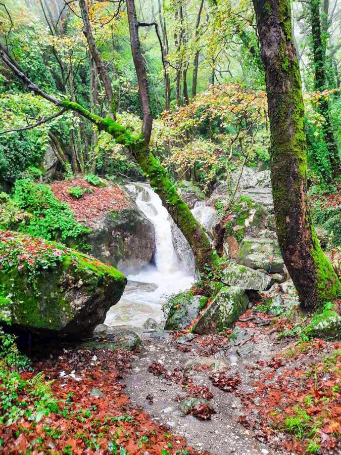 A Dream Deferred Villa Pelion Kiszósz Kültér fotó